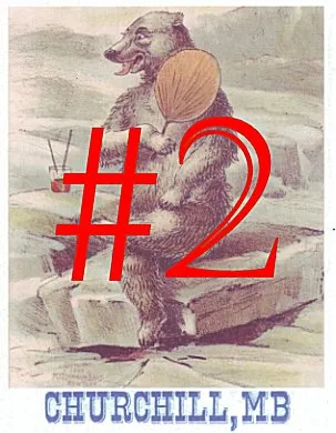 #02 Heatwave postcard