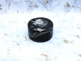 Polished Orthoceras Box